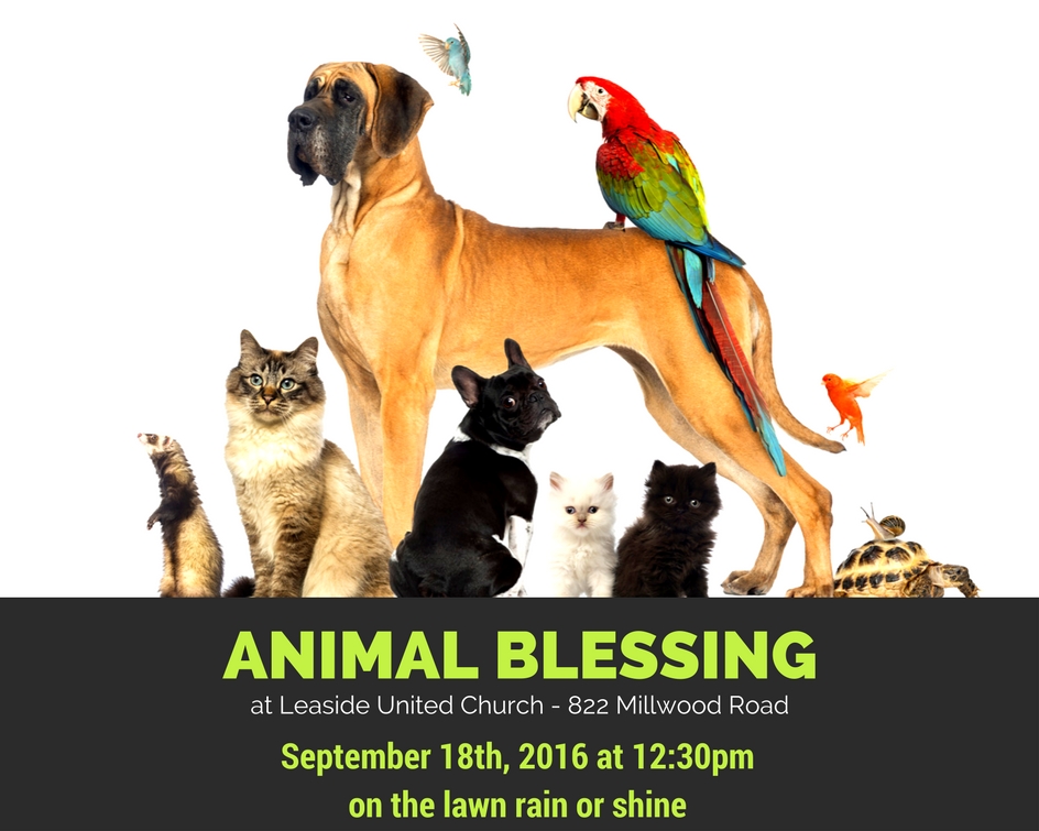 Animal Blessing at Leaside United Church